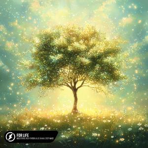 狗爷闯城中村 高清视频
