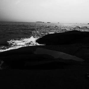 狗爷闯城中村 高清视频
