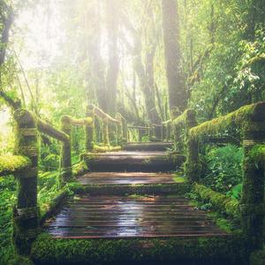 狗爷闯城中村 高清视频
